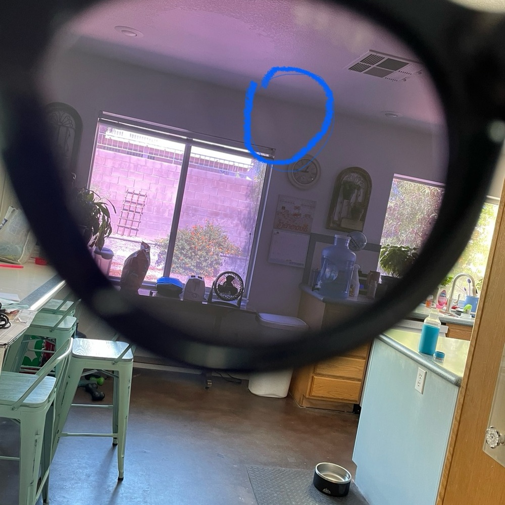 Diff sunglasses - Picture 14 of 14
